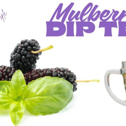 Organic Mulberry Detox &AMP; Immunity Tea Bags