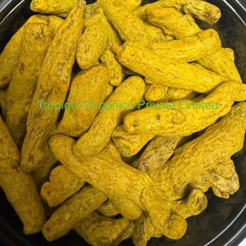 Nizamabad Double Polish Turmeric
