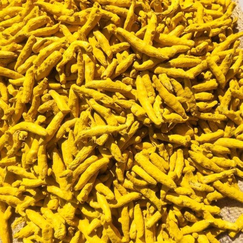 Nizamabad Double Polish Turmeric Finger