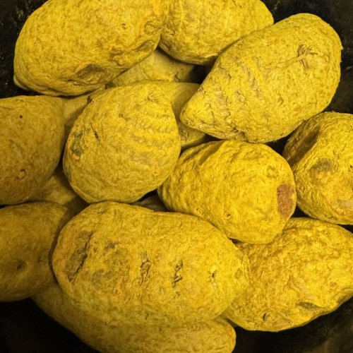 Polished Turmeric Bulb