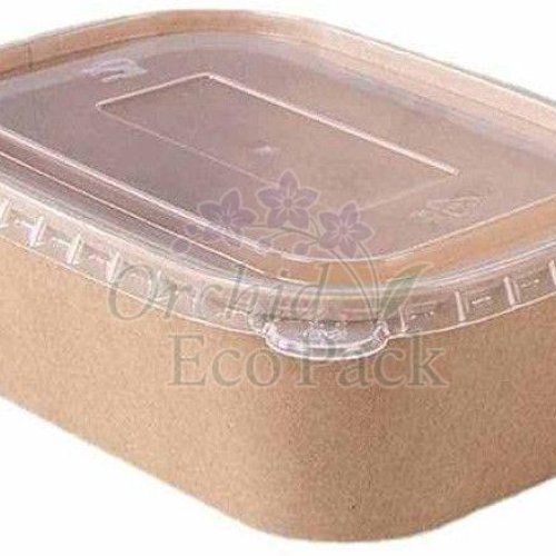 1000ml Kraft Paper Carnival Box
