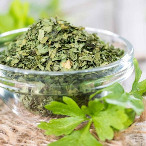 Dehydrated Coriander Leaves