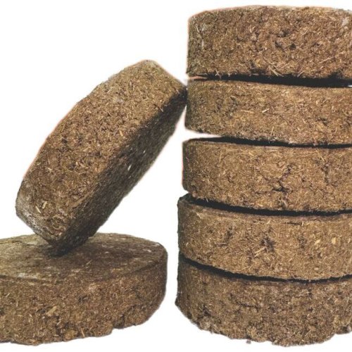 Cow Dung Cakes