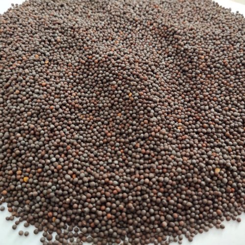 Black Mustard Seeds