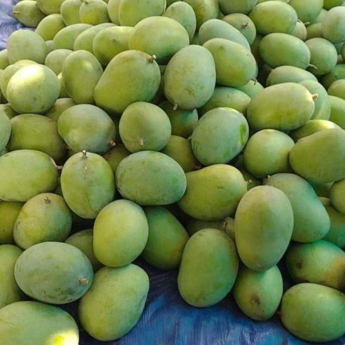 Fresh Langra Mango