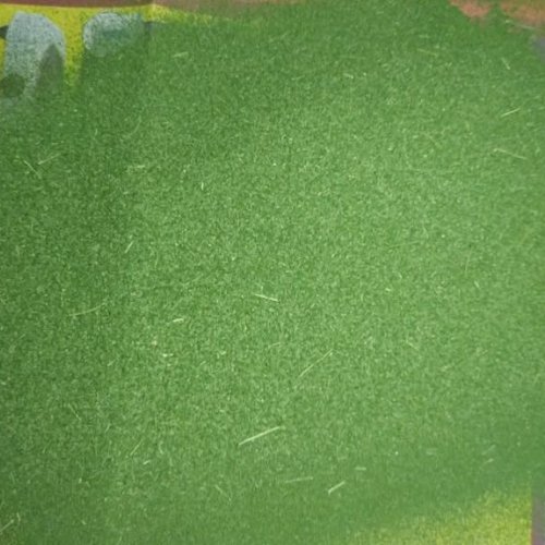 Organic Moringa Powder