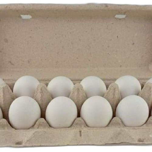 12 Pieces Fresh White Eggs