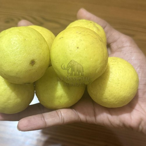 Yellow Lemons