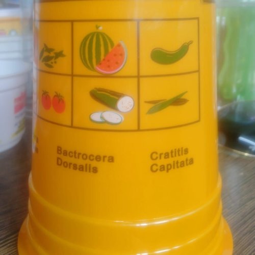 Plastic Fruit Fly Glass Trap