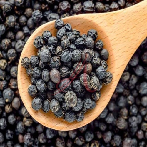 Black Pepper Seeds