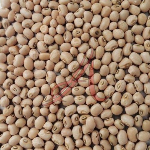 Cow Peas
