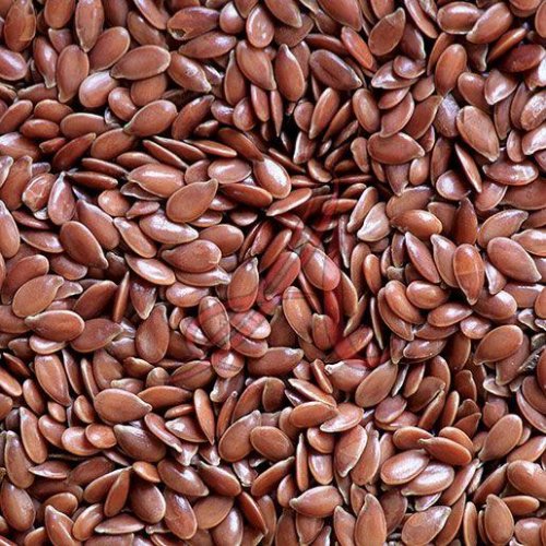 Flax Seeds