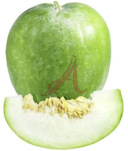 Fresh Ash Gourd
