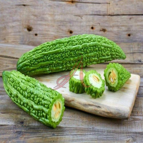 Fresh Bitter Gourd