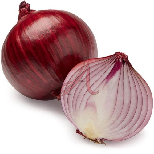 Fresh Red Onion