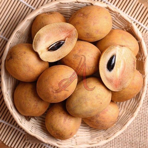 Fresh Sapodilla