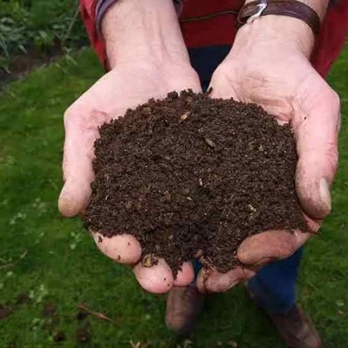Bio Organic Manure