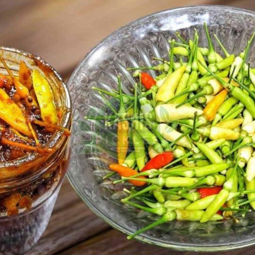 Bird Eye Chilli Pickle