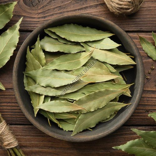 Dry Bay Leaf