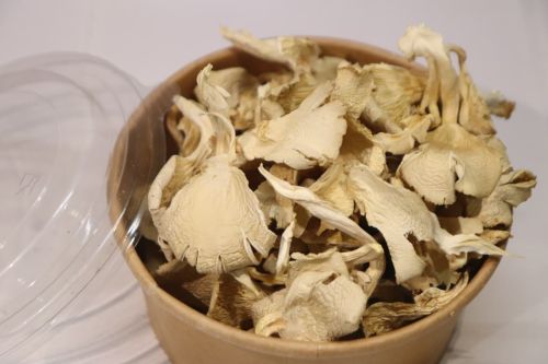 A Grade Dry Oyster Mushroom