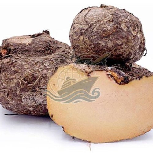 A Grade Elephant Yam