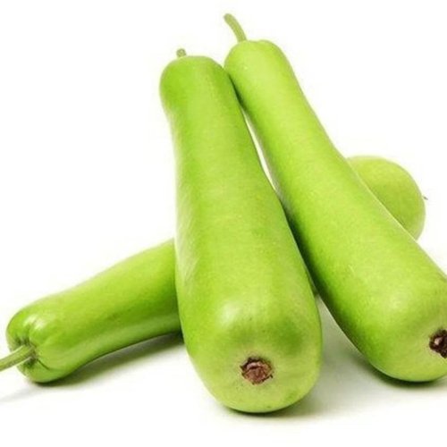 Fresh Green Bottle Gourd