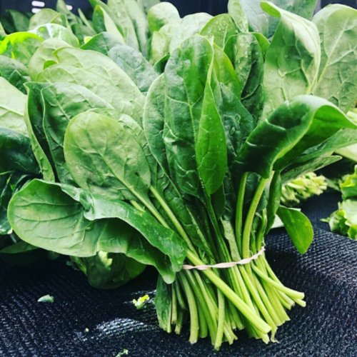 Fresh Green Spinach