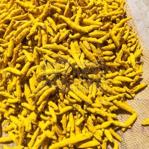 Nizamabad Turmeric Finger