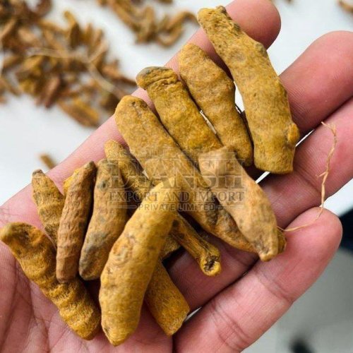Salem Turmeric Finger