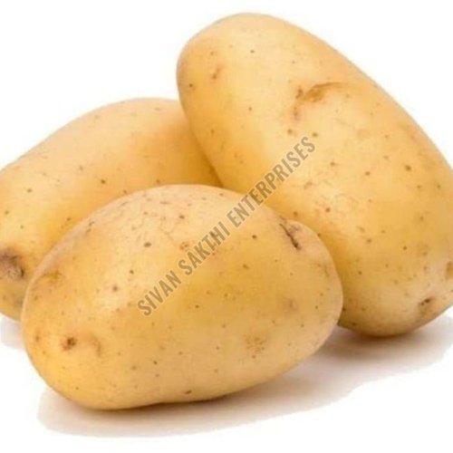 Fresh Potato