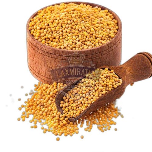 yellow mustard seeds