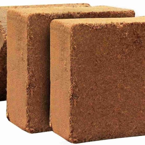 Square Cocopeat Block