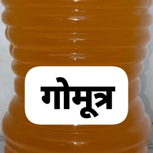 Desi Cow Urine