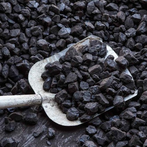 Steam Coal