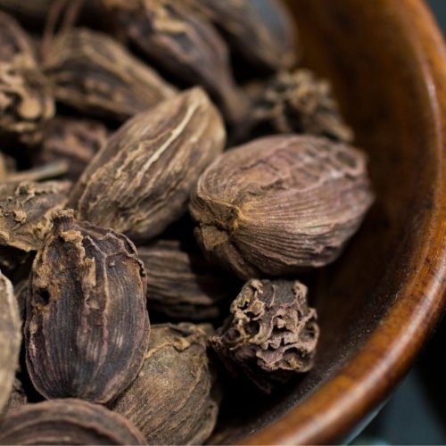 Fresh Whole Large Cardamom