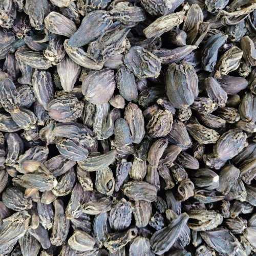 Natural Smoky Badi Elaichi