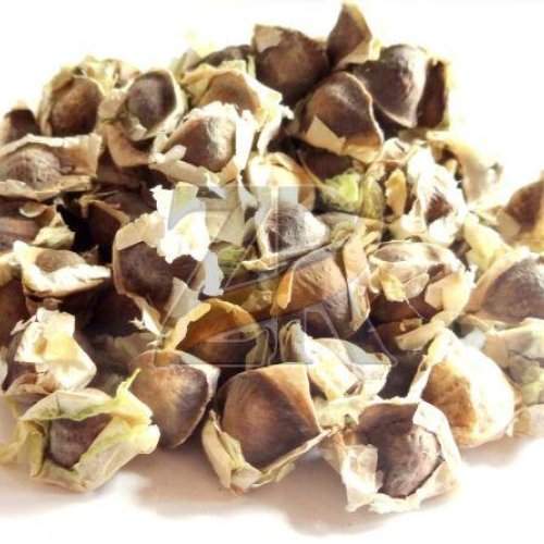 High Nutrient Moringa Seeds