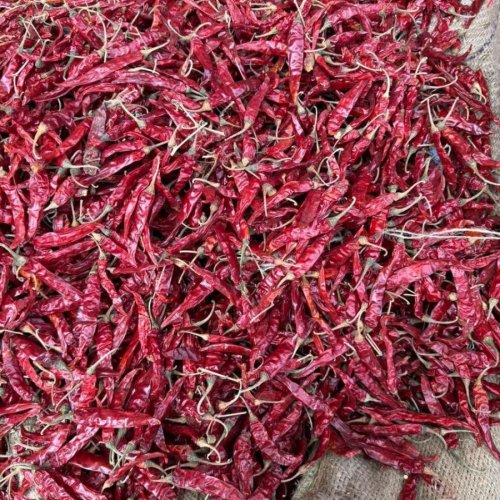Armoor Dried Red Chilly