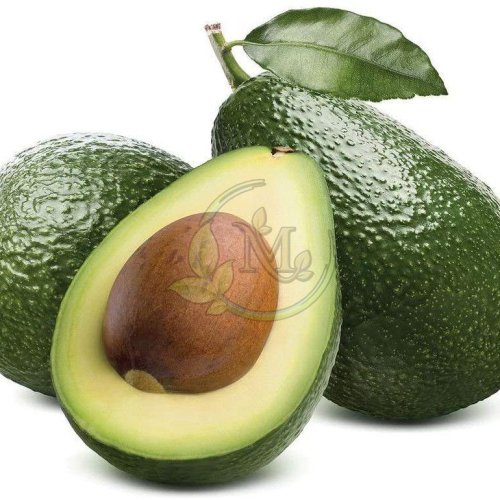 Fresh Avocado
