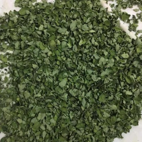 Dry Moringa Leaves