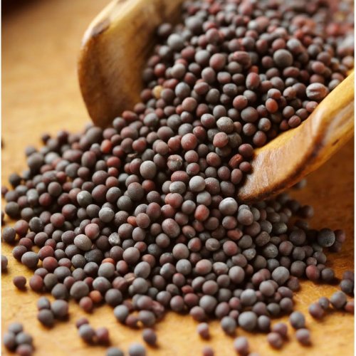 Black Mustard Seeds