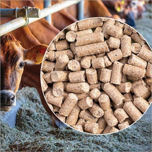 Cattle Feed