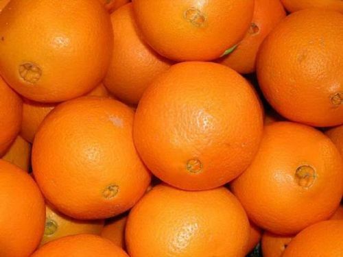 205 Grade Fresh Orange