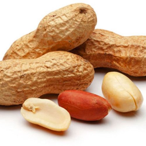 Raw Shelled Groundnuts
