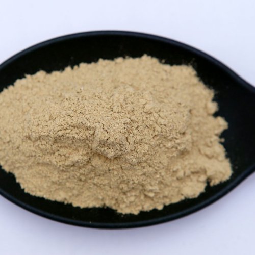 Body Poshak Powder for Women