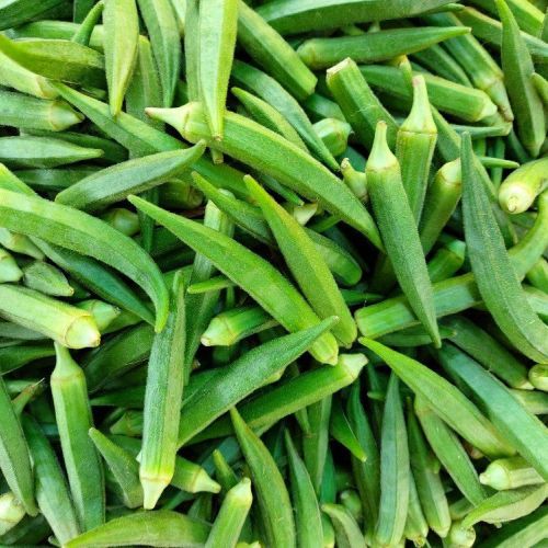 Fresh Green Lady Finger