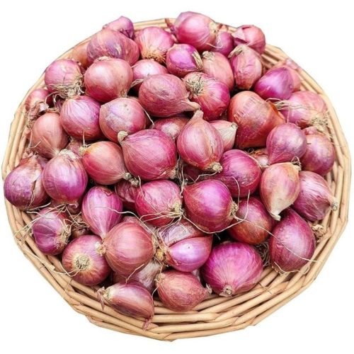 Fresh Shallot Onion