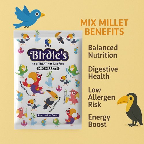 1 Kg Birdie\'S Mix Millet Bird Food,  for All Small &AMP; Medium Size Birds