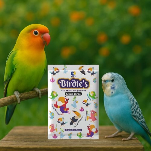 500g Birds Natural Multi Bird Seeds
