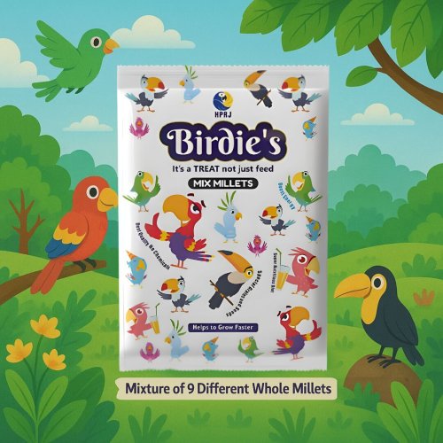 500g birds mix millet bird food 500g birds mix millet bird food